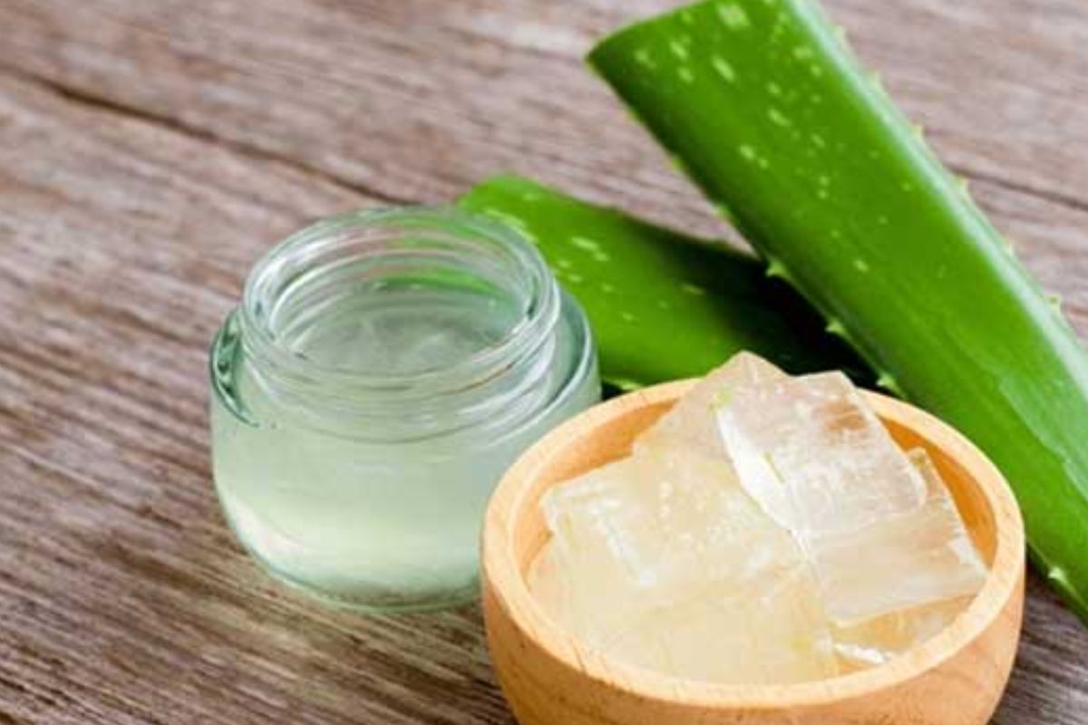 অ্যালোভেরা ও গোলাপজলের ফেসপ্যাক: ত্বককে প্রাকৃতিকভাবে উজ্জ্বল করে। উৎসবের ক্লান্তি বা দূষণের কারণে যদি ত্বক শুষ্ক বা রুক্ষ মনে হয়, এই সহজ মিশ্রণটি দেবে তাৎক্ষণিক আরাম। অ্যালোভেরা ত্বককে হাইড্রেট করে ও নিরাময় করে, আর গোলাপজল ত্বককে সতেজ  রাখে। প্রাকৃতিক উপাদানে তৈরি এই ফেসপ্যাক ত্বককে নরম, মসৃণ ও উজ্জ্বল করে তোলে।

কীভাবে ব্যবহার করবেন:

১ টেবিল চামচ অ্যালোভেরা জেলের সঙ্গে ১ টেবিল চামচ গোলাপজল মেশান।

মুখ ও ঘাড়ে সমানভাবে লাগান।

১৫ মিনিট রেখে ঠান্ডা জলে ধুয়ে ফেলুন।