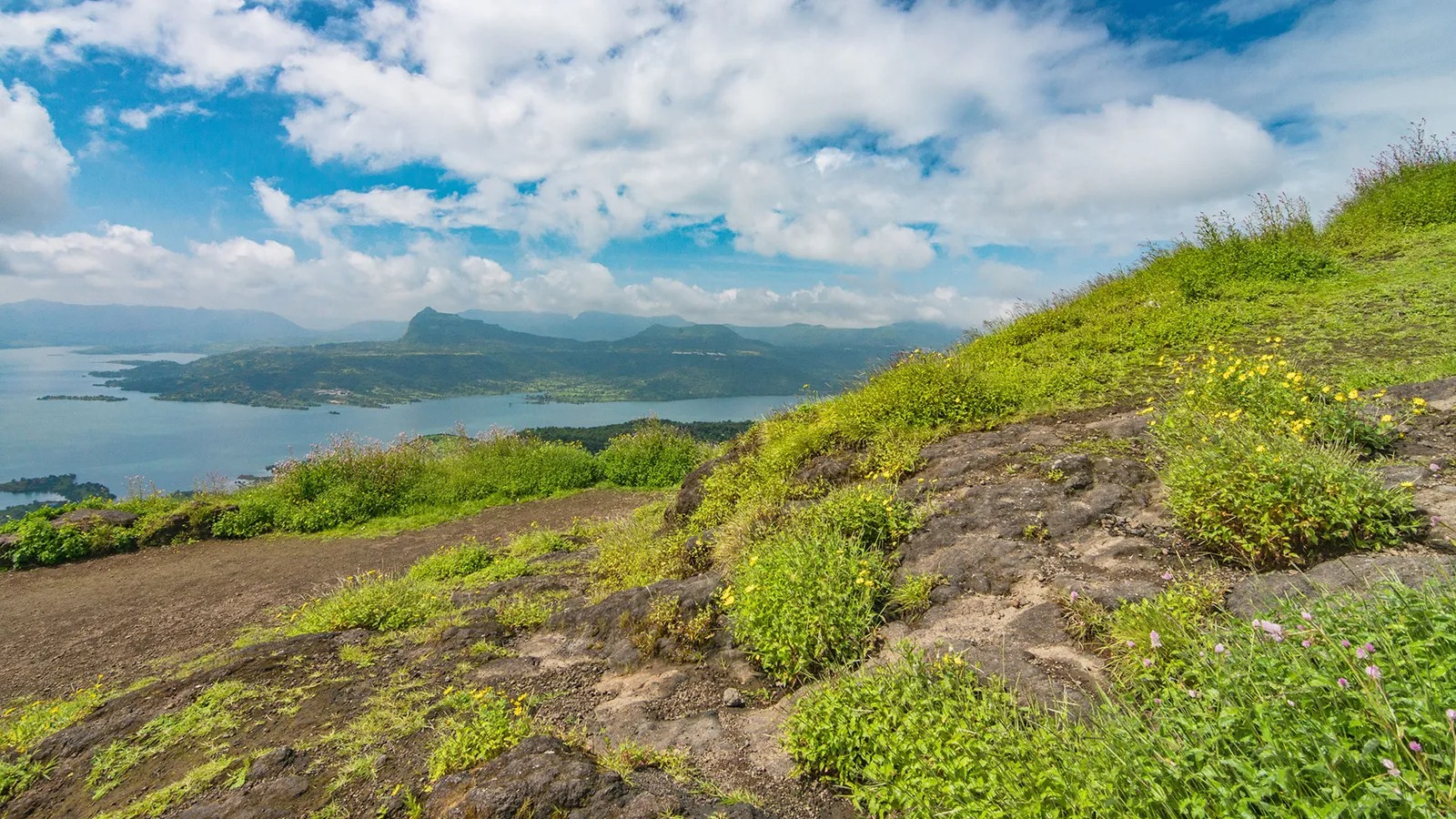 লোনাভলা: মুম্বই ও পুনের কাছাকাছি এই হিল স্টেশনটি বর্ষার সময় যেন স্বপ্নপুরী হয়ে ওঠে। কুয়াশা ঢাকা পাহাড়, জলপ্রপাত আর মনোমুগ্ধকর ভিউপয়েন্টে ঘেরা লোনাভলা উইকএন্ড ট্রিপের জন্য সেরা গন্তব্যগুলির একটি।