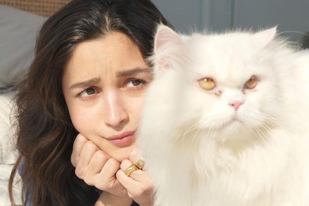 আলিয়ার পোষ্য বিড়াল এডওয়ার্ড ভাট পরিবার, আর এখন কাপুর পরিবারেরও এক গুরুত্বপূর্ণ সদস্য। বিশেষ মুহূর্তে তাকে অভিনেত্রীর সঙ্গে দেখা যায়, এমনকি আলিয়ার বিয়ের ছবি থেকেও এডওয়ার্ড বাদ যায়নি। বিভিন্ন সাক্ষাৎকারেও আলিয়া জানিয়েছেন এডওয়ার্ড তাঁর জন্য কতটা আদরের।