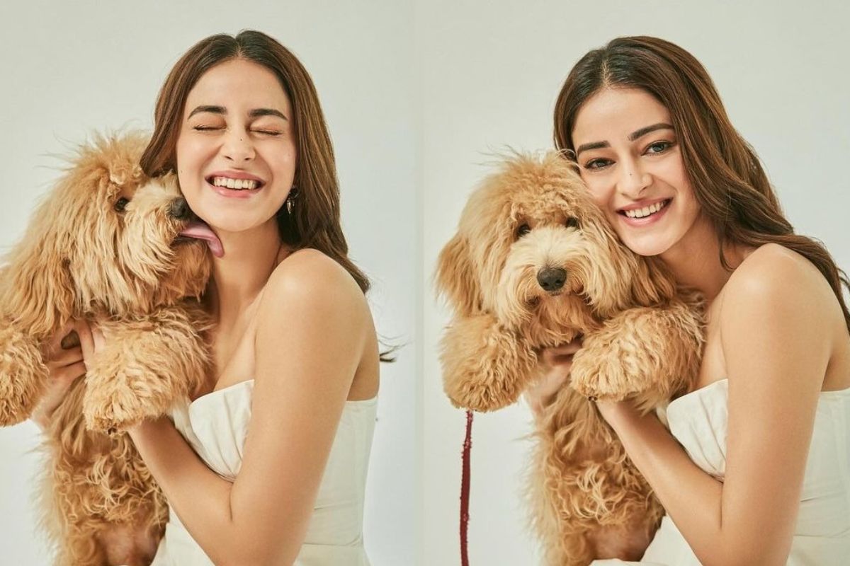 অনন্যার আদুরে সঙ্গীর নাম রায়ট। অভিনেত্রী মাঝে মাঝে তার সঙ্গে কাটানো মুহূর্তের ছবি সোশ্যাল মিডিয়ায় শেয়ার করেন। রায়ট যেন অনন্যার জীবনের এক অবিচ্ছেদ্য অংশ।