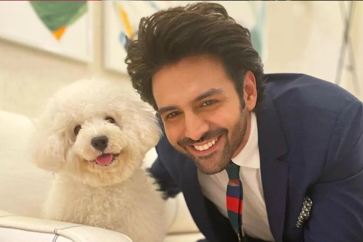 কার্তিকের পোষ্য কাটোরি খুবই চঞ্চল এবং দুষ্টুমি করতে ভালোবাসে। ছোট থেকেই সে আরিয়ান পরিবারের অংশ হয়ে ওঠে। ধীরে ধীরে সকলের প্রিয় হয়ে যায়। কার্তিক প্রায়শই তার কৌতুকময় মুহূর্ত অনুরাগীদের সঙ্গে ভাগ করে নেন।