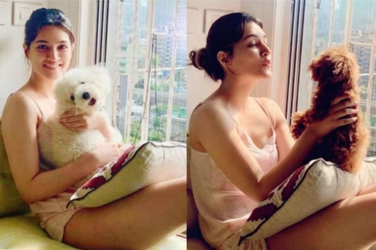 কৃতির দুটি সারমেয়- ডিস্কো ও ফিবি, তাঁর অত্যন্ত কাছের, আদরের। জন্মদিন, ঘরোয়া পার্টি থেকে শুরু করে রোজের কাজ- সবেতেই তাদের উপস্থিতি চোখে পড়ে। কৃতি নিয়মিত নিজের দুই পোষ্যর নানা মুহূর্ত ফ্রেমবন্দি করেন।