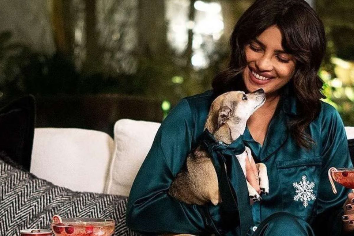 প্রিয়াঙ্কার সারমেয় ডায়না নানা সফরে তাঁর সঙ্গে থাকে। কঠিন সময়েও প্রিয়াঙ্কার পাশে থাকে। তাদের সম্পর্ক শুধুই মালিক-পোষ্যর নয়, আরও গভীর এবং আন্তরিক।