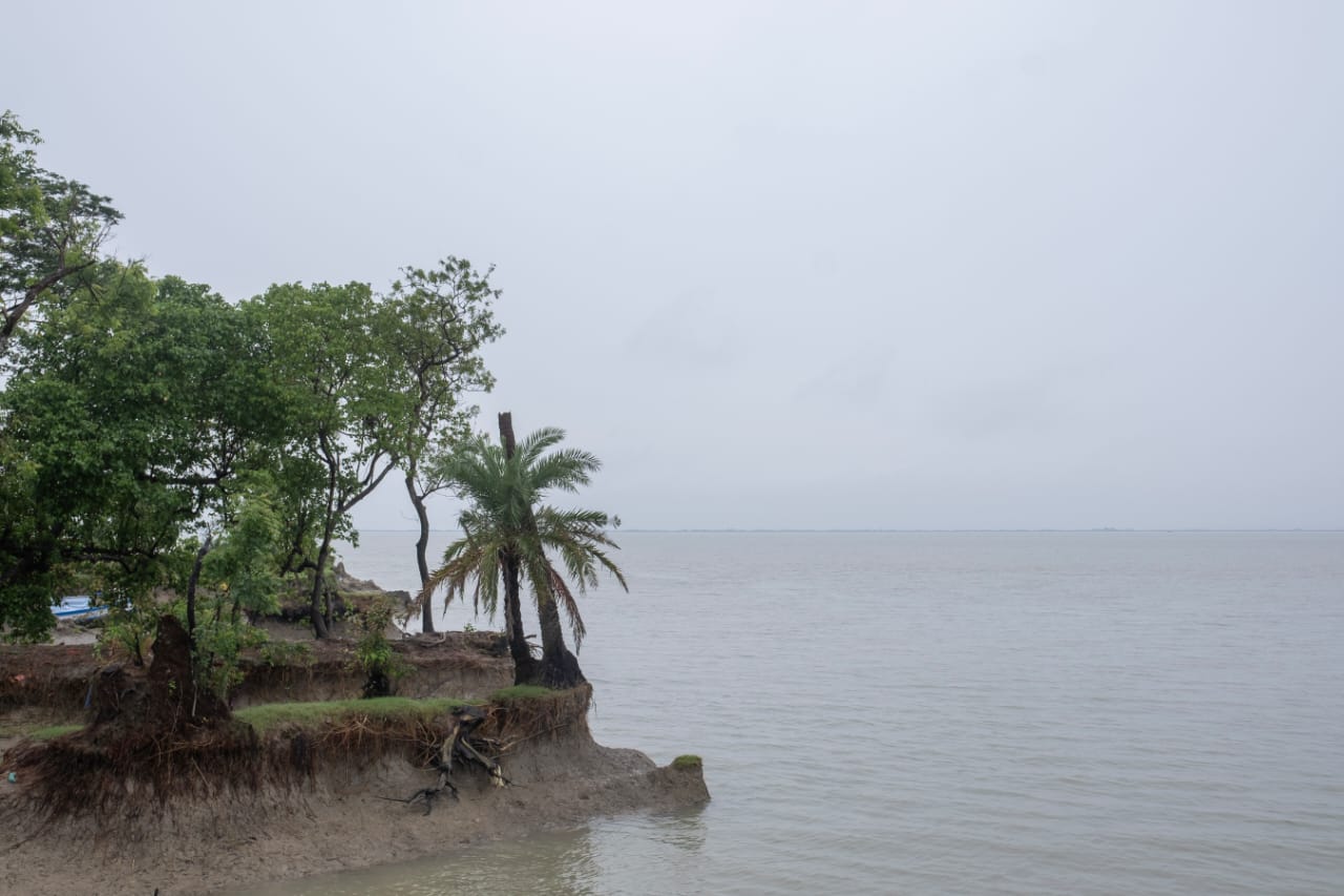 sunderban